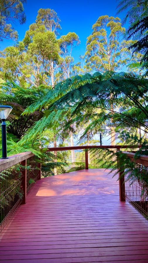 Melbourne Topview Villa In Dandenong Ranges Near Skyhigh 卡洛拉马 外观 照片