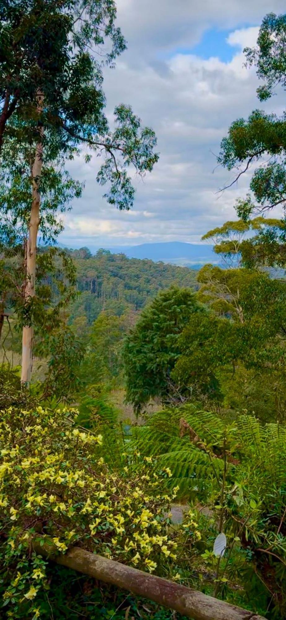 Melbourne Topview Villa In Dandenong Ranges Near Skyhigh 卡洛拉马 外观 照片