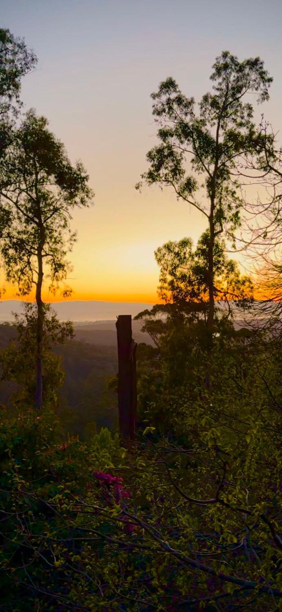 Melbourne Topview Villa In Dandenong Ranges Near Skyhigh 卡洛拉马 外观 照片