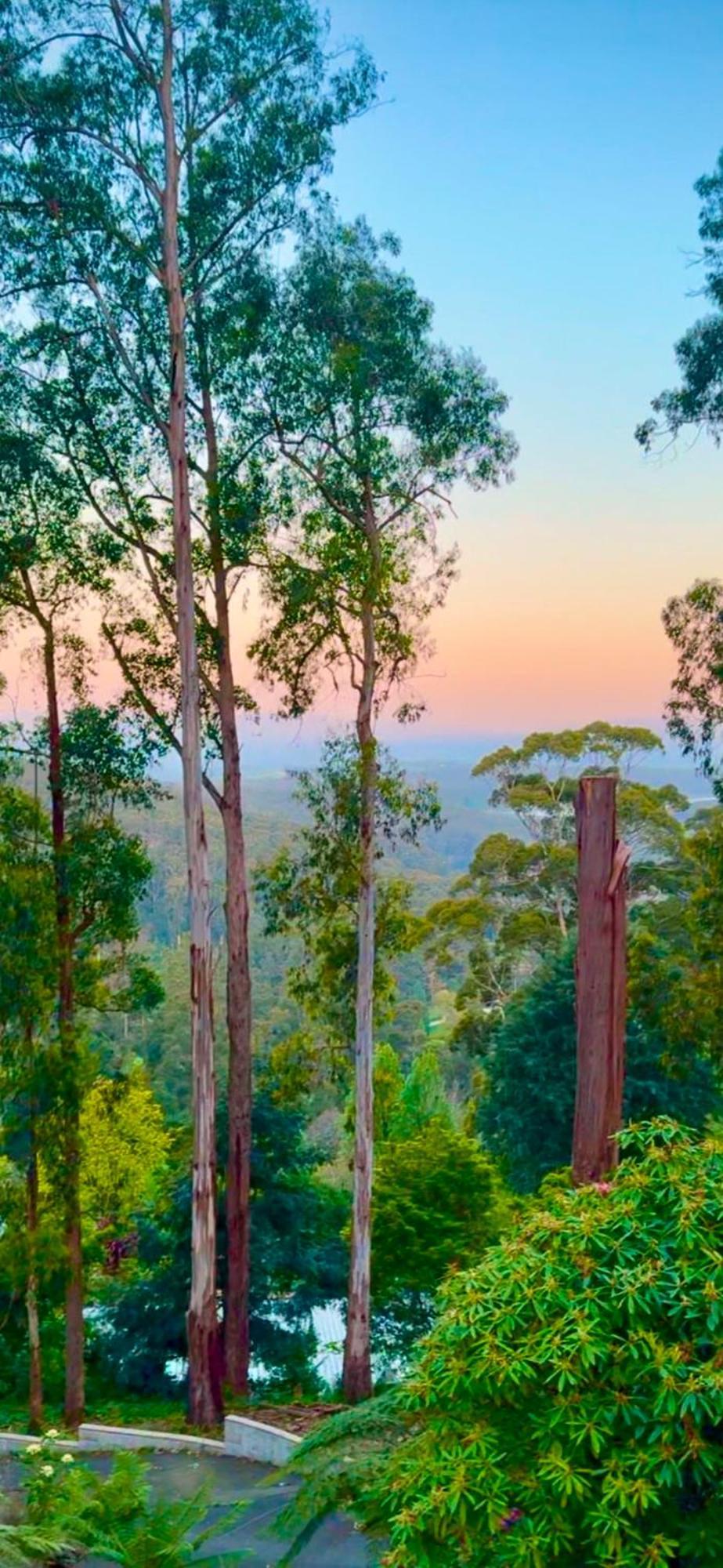 Melbourne Topview Villa In Dandenong Ranges Near Skyhigh 卡洛拉马 外观 照片