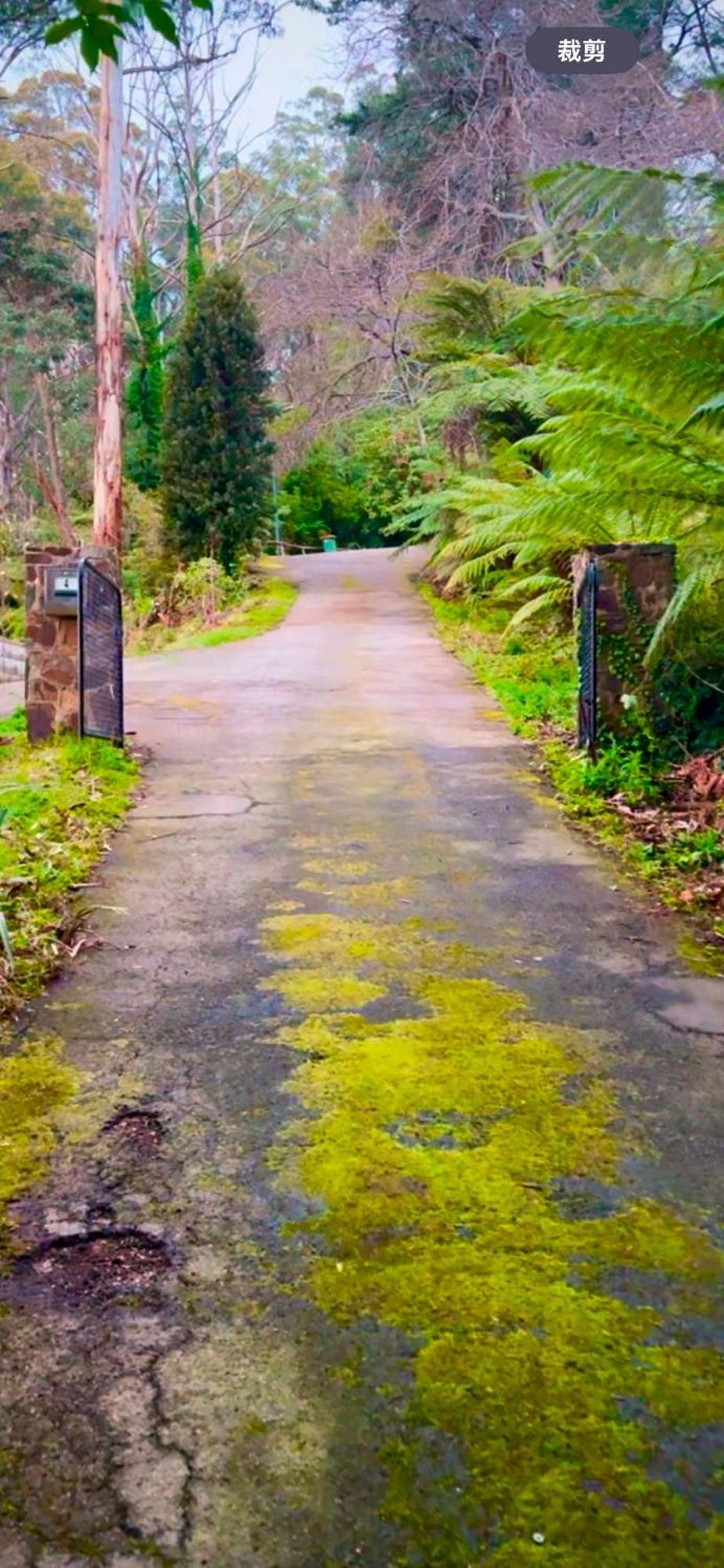Melbourne Topview Villa In Dandenong Ranges Near Skyhigh 卡洛拉马 外观 照片